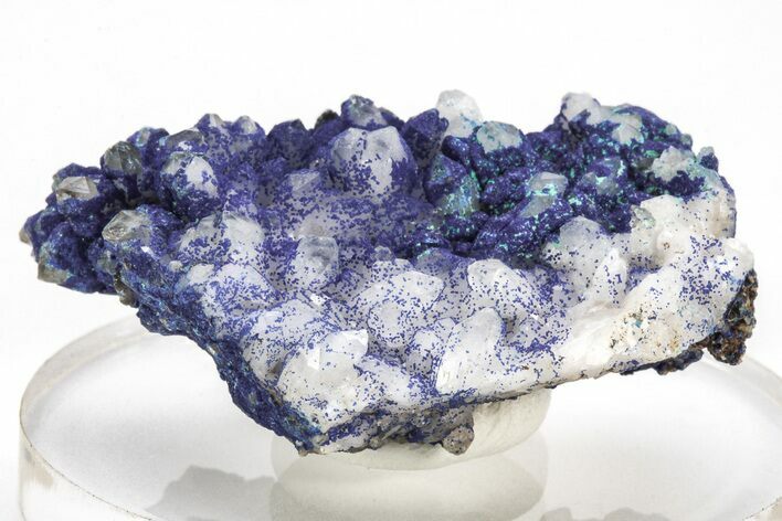 Vivid-Blue Azurite Encrusted Quartz Crystals - China #213816